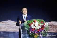 黄金老:减债增资,多管齐下,长效解