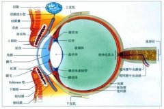 宁波爱尔光明眼科:眼前有黑影,竟是视网膜脱离!